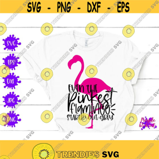 Even The Pinkest Flamingo Start Out Grey Summer Flamingo Quote Flamingo Lover Gift Motivational SVG Quote Empowerment Quote Pink Flamingo Design 340