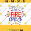 Expecting a little fire cracker SVG expecting fire cracker fourth of July new baby baby announcement Maternity SVG pregnancy Design 45