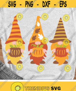 Fall Gnomes Svg, Autumn Gnomes Svg, Gnome with Pumpkin Cut Files, Thanksgiving Svg Dxf Eps Png, Autumn Farmhouse Clipart, Silhouette, Cricut Design -2456