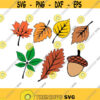 Fall Leaves Autumn Cuttable Design SVG PNG DXF eps Designs Cameo File Silhouette Design 1497