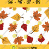 Fall Leaves Bundle Svg Fall Leaves Svg Fall Leaf Svg Fall Leaves Png Autumn Svg files for Cricut Silhouette Sublimation Download