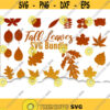 Fall Leaves Outline SVG Bundle Fall Svg Cut Files For Cricut Leaves SVG Bundle Fall Leaf SVG Fall Scrapbook Leaves Svg Clipart Dxf .jpg