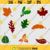 Fall Leaves SVG Bundle Fall Leaves SVG Files For Cricut Fall Leaf SVG Thanksgiving Clip Art Svg Autumn Svg Leaves Svg Cut Files .jpg