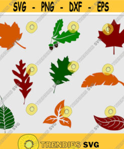 Fall Leaves SVG Bundle  Fall Leaves SVG Files For Cricut  Fall Leaf SVG  Thanksgiving Clip Art Svg  Autumn Svg  Leaves Svg Cut Files