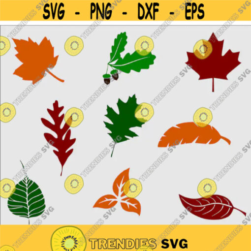 Fall Leaves SVG Bundle Fall Leaves SVG Files For Cricut Fall Leaf SVG Thanksgiving Clip Art Svg Autumn Svg Leaves Svg Cut Files .jpg