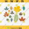 Fall Leaves SVG DXF PNG eps Autumn leafs thanksgiving Cut File for Cricut Design Silhouette studio Sure A Lot Makes the Cut Design 261