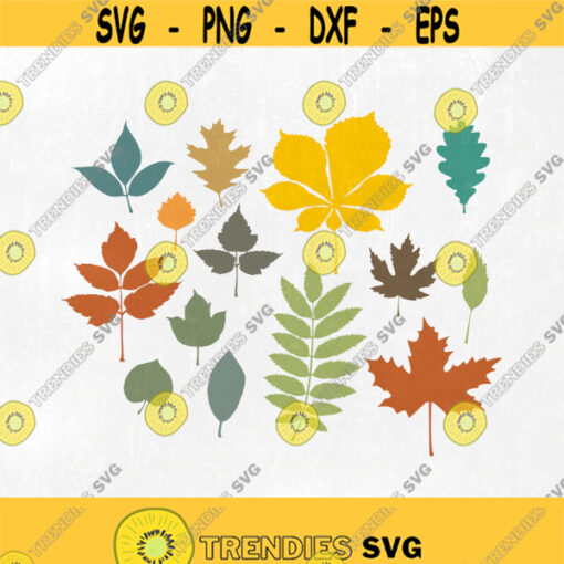 Fall Leaves SVG DXF PNG eps Autumn leafs thanksgiving Cut File for Cricut Design Silhouette studio Sure A Lot Makes the Cut Design 261