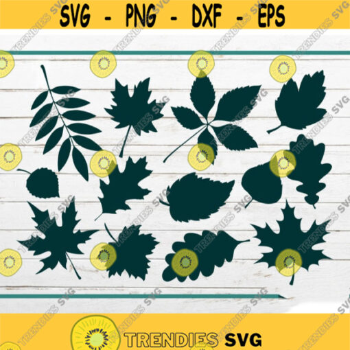 Fall Leaves SVG bundle Fall SVG Leaf SVG Maple Leaf svg Nature svg Autumn leaves Silhouette for home decor Digital Download for Cricut Design 199.jpg