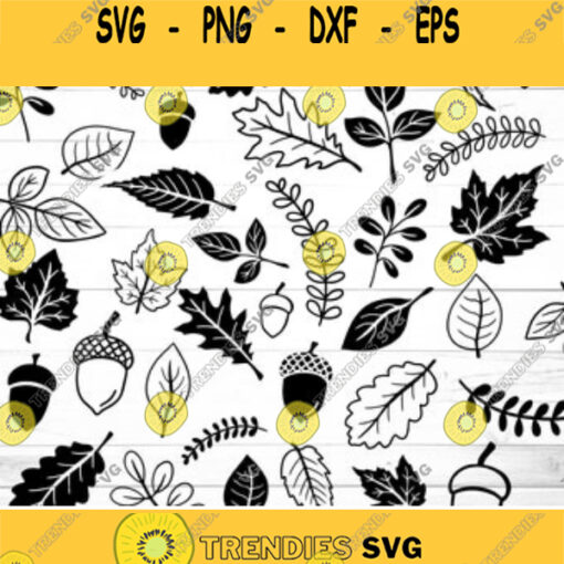 Fall Leaves Svg Bundle 25 Designs Fall Leaves Svg Fall Leaf Svg Fall Leaves Png Autumn Svg files for Cricut Silhouette Sublimation