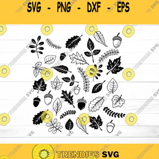 Fall Leaves Svg Bundle 25 Designs Fall Svg Fall Leaf Pattern Svg Fall Leaves Svg Leaves SVG Autumn Svg Svg files for Cricut