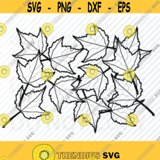 Fall Leaves outline SVG Files Leaves Png Eps dxf ClipArt Maple Leaves svg file for cricut Winter leaves svg maple leaf vector image Design 382