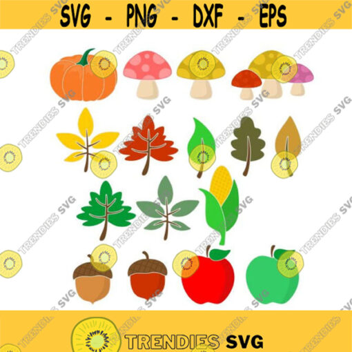Fall Pumpkin Leafs Leaves Acorn Cuttable Design Thanksgiving SVG PNG DXF eps Designs Cameo File Silhouette Design 1843