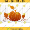 Fall Pumpkin Round SVG Fall Pumpkin SVG Files For Cricut Pumpkin Spice Apple Cider Bonfires Leaves Sign Svg Fall Quote Svg Cut Files .jpg