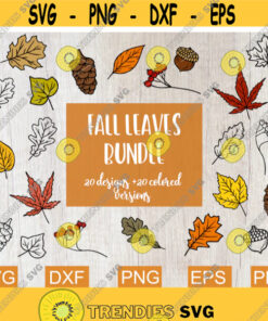 Fall Svg Bundle, Maple Leaf Svg, Oak Leaf Svg, Fall Leaf Svg, Autumn Svg, Fall Clipart, Svg files for Cricut, Halloween, Sublimation Designs Design -45