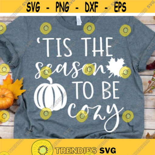 Fall Svg Tis the Season Svg Harvest Festival Svg Pumpkin Patch Fall Leaves Pumpkins Football Funny Fall Shirt Svg for Cricut Png