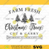 Farm Fresh Christmas Trees Svg Christmas SVG Design Winter Svg Files For Cricut Christmas Tree SVG Digital Download 146 copy