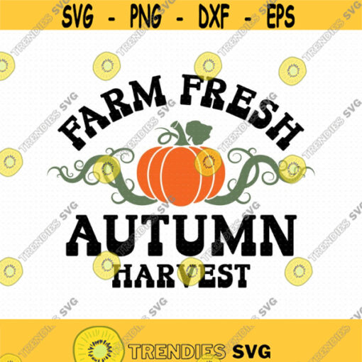 Farm Fresh Harvest Svg Png Farm Fresh Svg Farm Fresh Pumpkins Svg Farmers Market Svg Fall Harvest Svg Autumn Harvest Svg Design 473