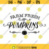 Farm Fresh Pumpkins Decal Files cut files for cricut svg png dxf Design 192