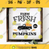 Farm Fresh Pumpkins Sign Svg Farmhouse Pumpkins Svg Pumpkin Sign Svg Pumpkins Sign Svg files for Cricut Sublimation Designs Downloads