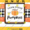 Farm Fresh Pumpkins Svg Fall Cut Files Autumn Svg Dxf Eps Png Fall Sign Svg Vintage Pumpkin Svg Autumn Clipart Silhouette Cricut Design 2499 .jpg