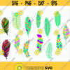 Feather Colorful Feather SVG Printable files Silhouette files Vector Cuttable files digital dowload Design 989