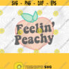 Feelin Peachy PNG Print Files Sublimation Print Files Feeling Peachy Peachy Keen Vintage Retro Funny Just Peachy Positive Be Kind Design 393