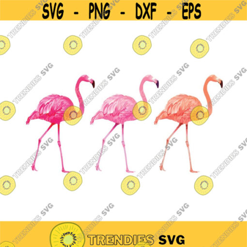 Flamingo Clipart Pink Flamingo Clipart PNG Files