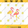 Flamingo Monogram Cuttable Design in SVG DXF PNG Ai Pdf Eps Design 99