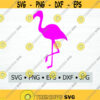 Flamingo SVG Digital Download JPG EPS png dwg Digital Vector Clipart Print Vinyl Decal Design 1879
