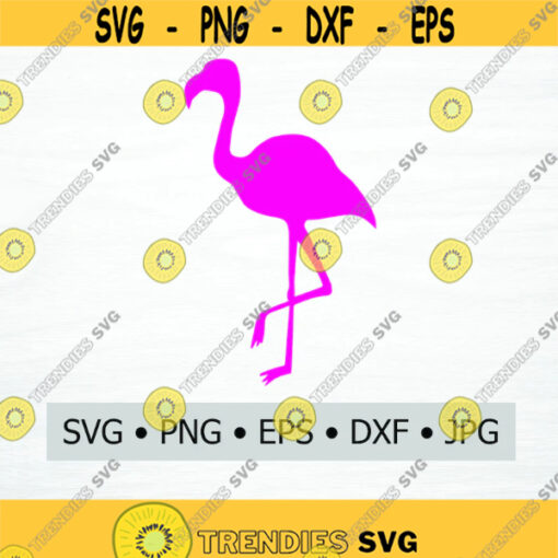 Flamingo SVG Digital Download JPG EPS png dwg Digital Vector Clipart Print Vinyl Decal Design 1879
