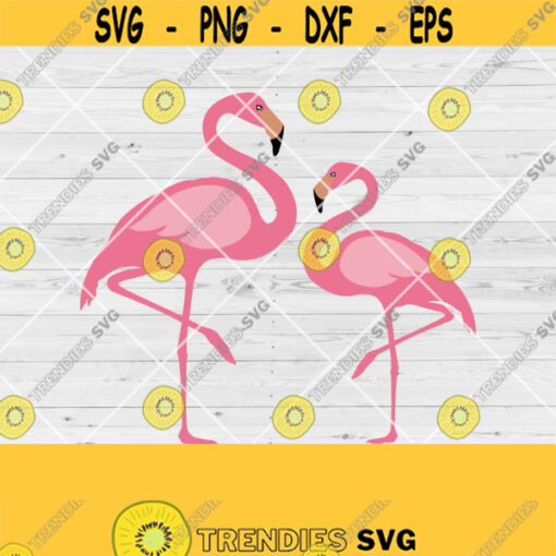 Flamingo Svg Pink Flamingo SVG Flamingo Clipart for Tropical Summer Beach Summer Svg Instant download Png Dxf Jpg Eps