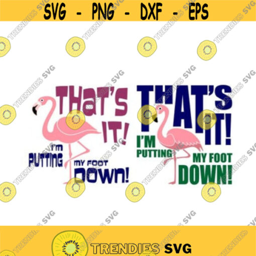 Flamingo Thats it Im Putting my foot down Cuttable Design SVG PNG DXF eps Designs Cameo File Silhouette Design 497