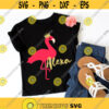 Flamingo svg Birthday svg Birthday Girl svg Summer svg Animal svg dxf eps Clipart Printable Cut File Cricut Silhouette Download Design 776.jpg