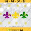 Fleur de lis svg Mardi Gras svg Mardi Gras Parade svg files New Orleans Party svg Mardi Gras shirt design Nola Party shirt svg Design 1255