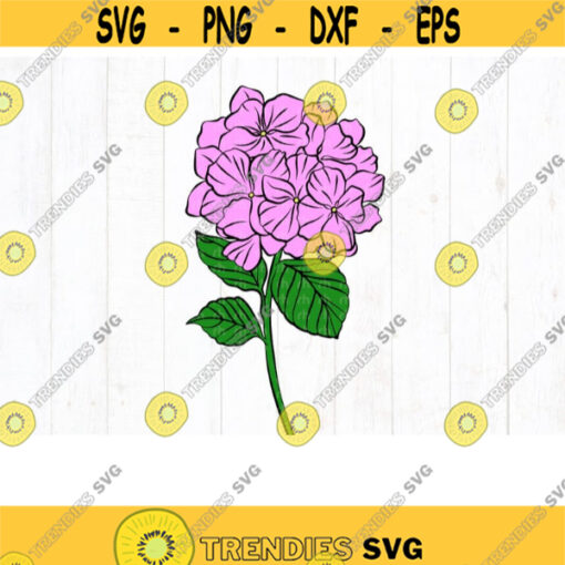 Floral tags svg Flower tags svg Rose tags svg Wedding tags svg Design 474 .jpg