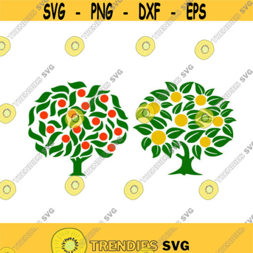 Florida Lime Tree Orange Cuttable Design SVG PNG DXF eps Designs Cameo File Silhouette Design 1512