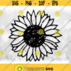 FlowerNature Clipart Distressed or Grunge Sunflower Silhouette Outline with Black Center and Clear Petals Digital Download SVG PNG Design 331