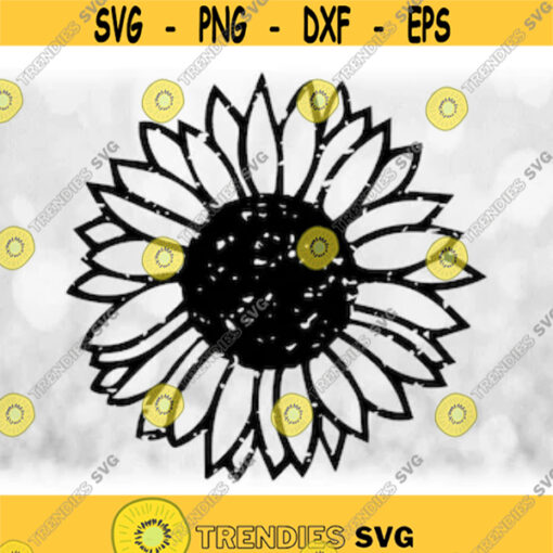 FlowerNature Clipart Distressed or Grunge Sunflower Silhouette Outline with Black Center and Clear Petals Digital Download SVG PNG Design 331