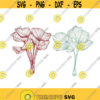 Flowers Flora Art Cuttable Design SVG PNG DXF eps Designs Cameo File Silhouette Design 1682
