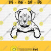 French Mastiff Svg Peeking Dog Smiling Puppy Paws Pedigree Bloodline Pet Breed K 9 Canine Foxhound LogoDesign 398