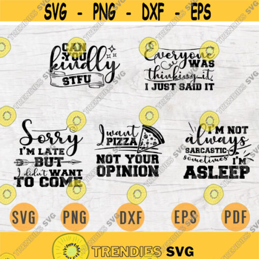 Funny Quotes SVG Bundle Pack 5 Svg Files for Cricut Sarcasm Quotes Funny Shirt Vector Cut Files INSTANT DOWNLOAD Sarcasm Iron On Shirt 3 Design 49.jpg