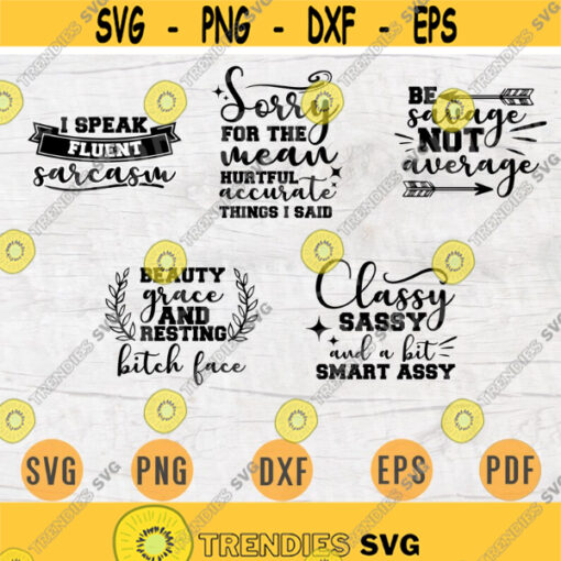 Funny Sayings SVG Bundle Pack 5 Svg Files for Cricut Sarcasm Quotes Funny Shirt Vector Cut Files INSTANT DOWNLOAD Sarcasm Iron On Shirt 1 Design 115.jpg