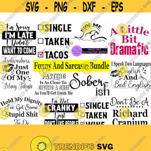 Funny svg bundle. Sarcasm svg bundle. Funny svg. A little bit dramatic. Soberish.Dont be a dick. English and bad english. Design 100