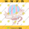 Gender reveal svg baby svg baby boy svg baby girl svg hot air balloon svg png dxf Cutting files Cricut Cute svg designs print for t shirt Design 601