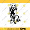 Golden Retriever SVG Retriever Clipart Dog Cut File Printable art Vector Vinyl Shirt Designs Silhouettes SVG Dog SVG Files for Cricut 539 copy