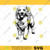 Golden Retriever SVG Retriever Clipart Dog Cut File Printable art Vector Vinyl Shirt Designs Silhouettes SVG Dog SVG Files for Cricut 712 copy
