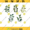 Greenery branches svg leaves svg svg files for Cricut SVG PNG EPS silhouette svg
