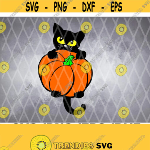 Halloween Black Cat SVG Black Cat with pumpkin svg Halloween svg SVG PNG eps dxf Design 260