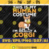 Halloween Corgi Human Costume Magical Dogs Family Svg Halloween Svg Fall Svg Halloween Corgi Svg Dog Lover Svg Dogs Svg Design 302