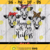 Hanging With My Heifers Bandana Cow love png Farmer png funny heifer Dowload file PNG Design 181